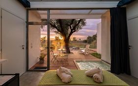 Terecate Experimental Relais